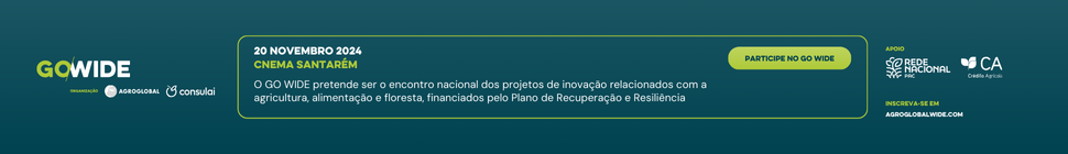 GO Wide - Inovar com impacto | CNEMA