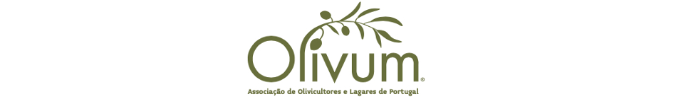 Olivum