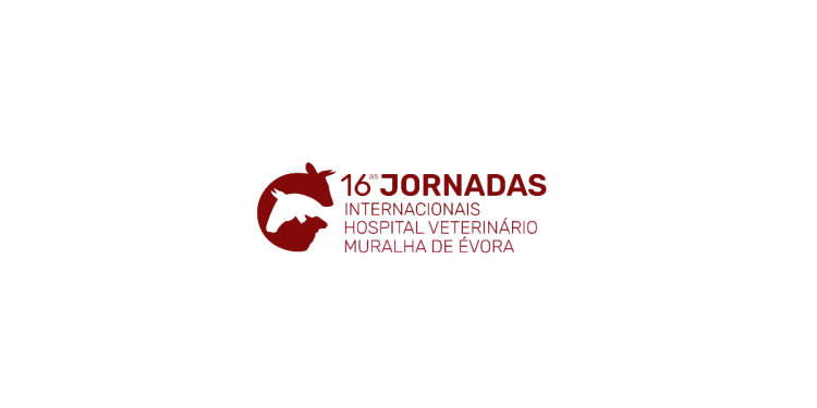 16 jornadas HVME