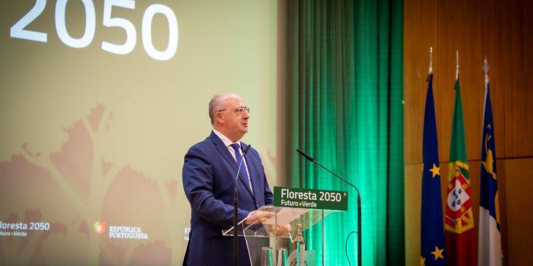 José Manuel Fernandes