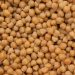 chickpeas