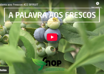 palavra aos frescos BFRUIT