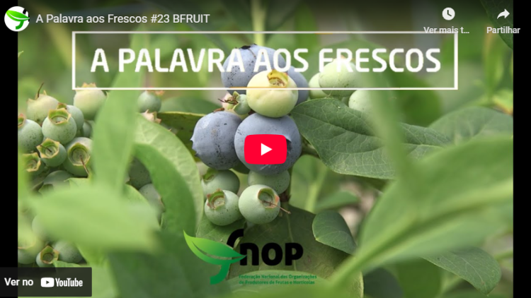 palavra aos frescos BFRUIT