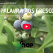 palavra aos frescos BFRUIT