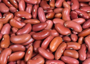 kidney beans