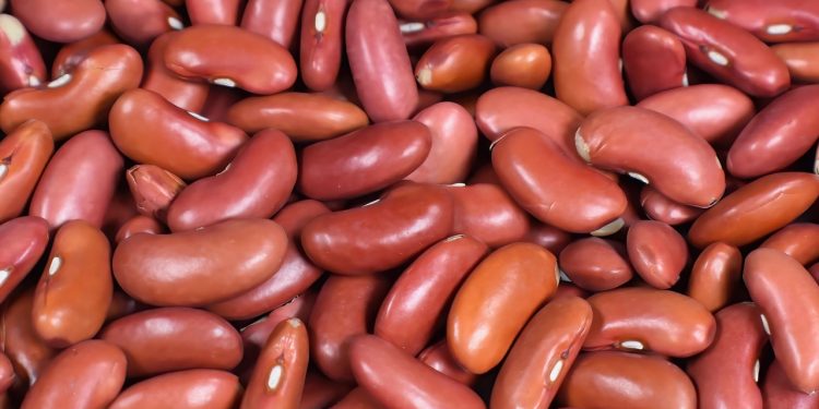 kidney beans