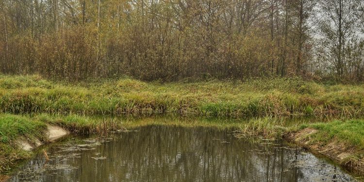 lake water