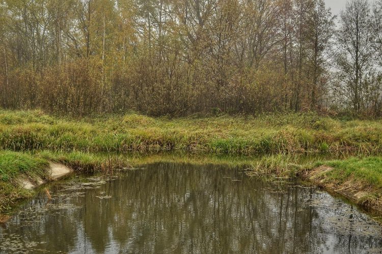 lake water