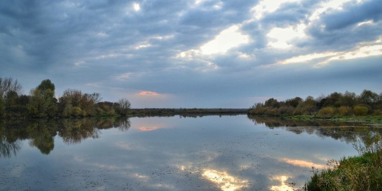nature water