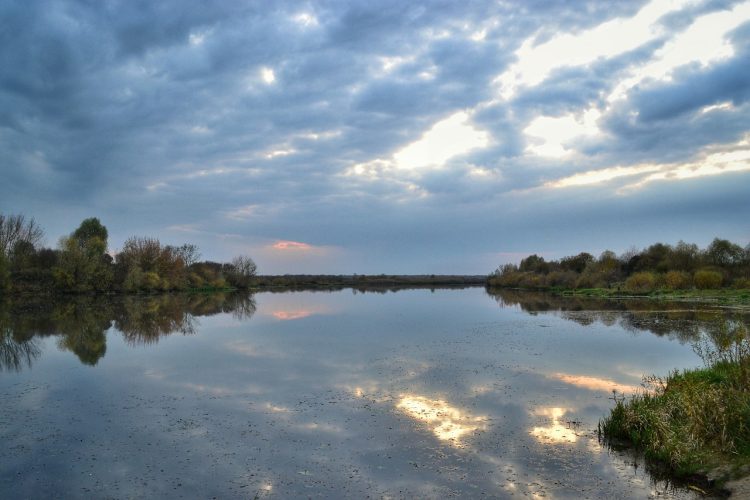 nature water