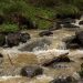 river