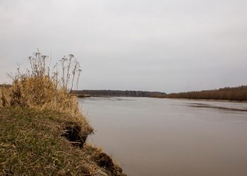 river flood water