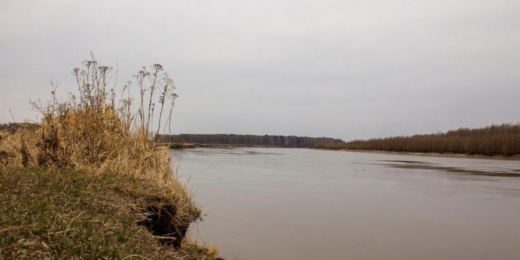 river flood water