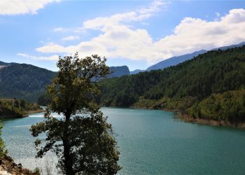 view nature water