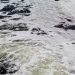 water foam