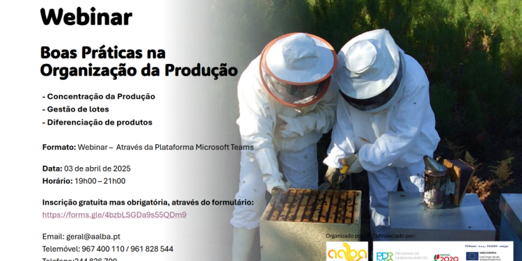 webinar boas practicas abelhas