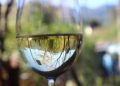 wine glass