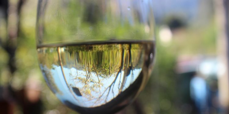 wine glass
