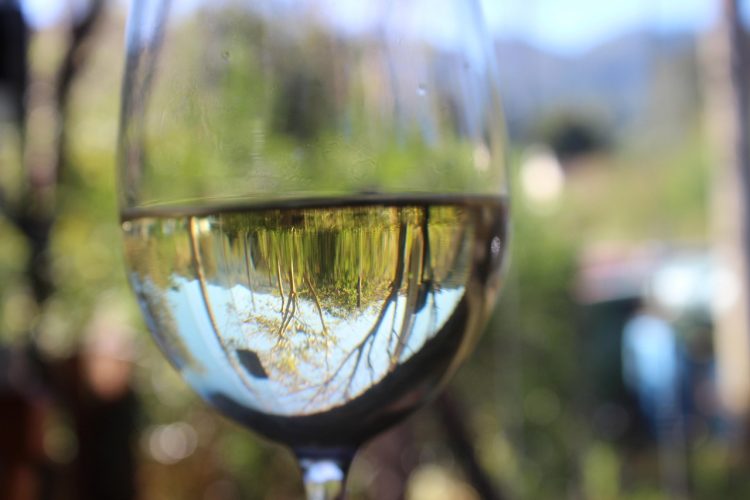 wine glass
