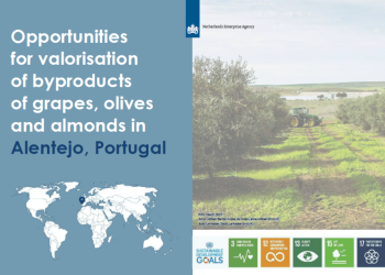 Estudo sobre Oportunidades de Valorização de Subprodutos no Alentejo