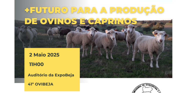ovinos caprinos evento ovibeja