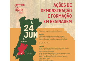 Ações de demonstração e formação em resinagem