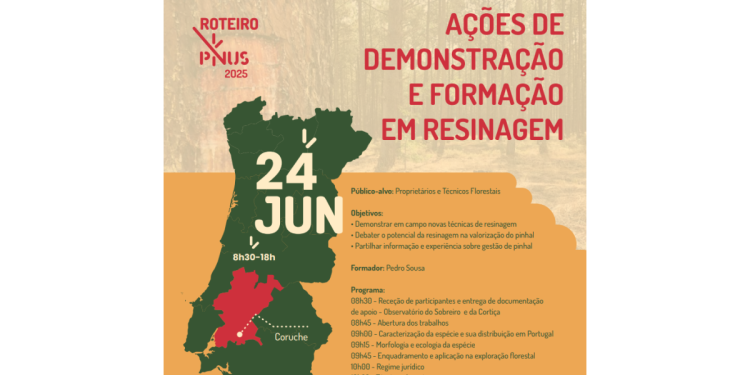 Ações de demonstração e formação em resinagem