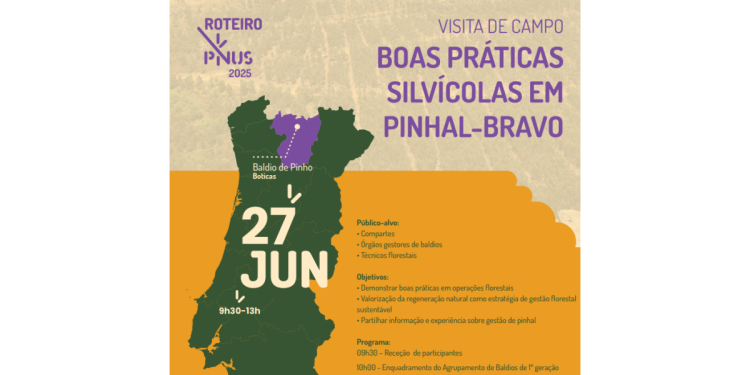 Boas práticas silvícolas em pinhal-bravo