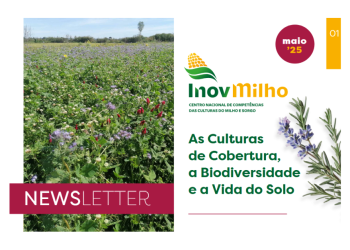 Culturas de Cobertura Biodiversidade Vida do Solo