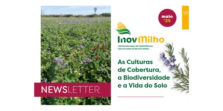 Culturas de Cobertura Biodiversidade Vida do Solo