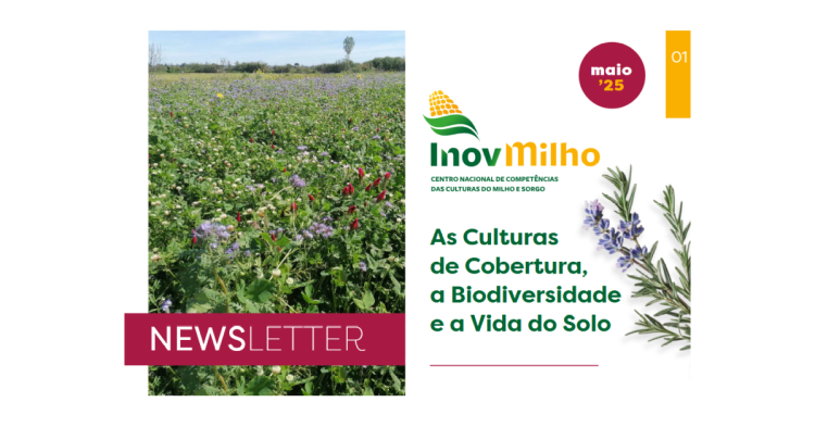 Culturas de Cobertura Biodiversidade Vida do Solo
