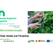 ESAC capacita em Poda Verde: nova microcredenciação para fruticultores