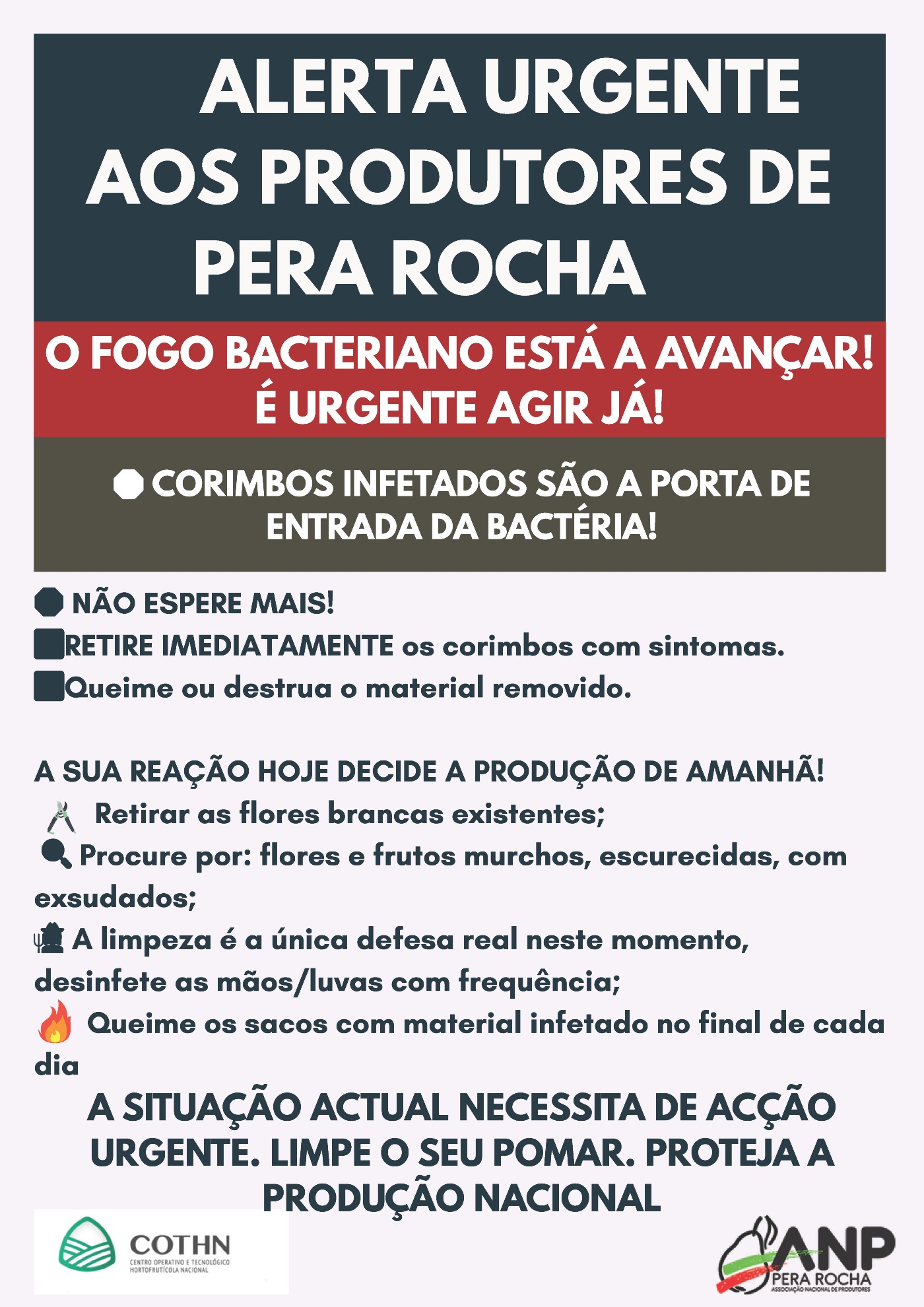 Folheto-Fogo-Bacteriano_Corrigido