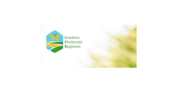 Insetos Novas Publicações Medidas Agricultura e Ambiente