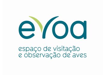 logo evoa