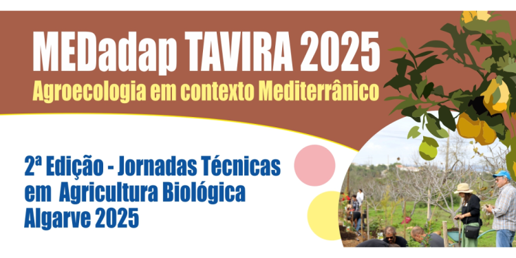 MEDap tavira 25
