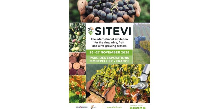 sitevi 25