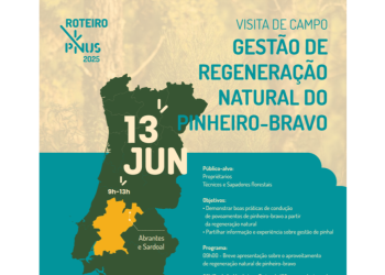 Visita de campo Gestão de Regeneração Natural de Pinheiro-Bravo