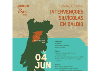 Visita de campo “Intervenções Silvícolas em Baldio
