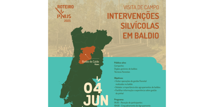 Visita de campo “Intervenções Silvícolas em Baldio