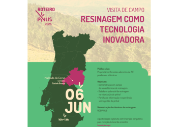 Visita de campo Resinagem como tecnologia inovadora