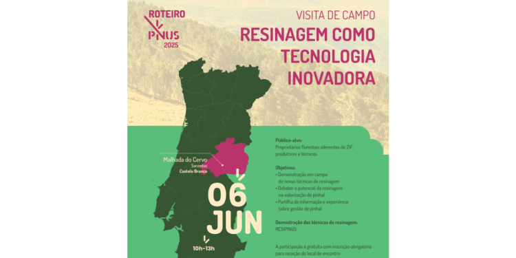 Visita de campo Resinagem como tecnologia inovadora