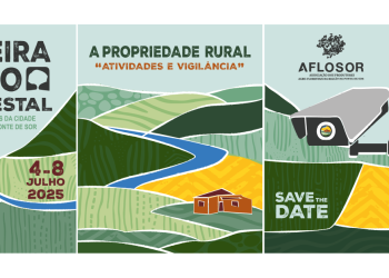 XI feira agroflorestal