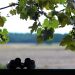 binoculars