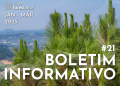 boletim forestwise 21