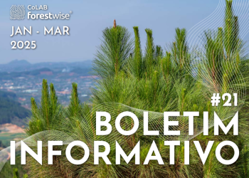 boletim forestwise 21