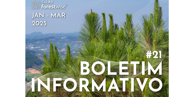 boletim forestwise 21