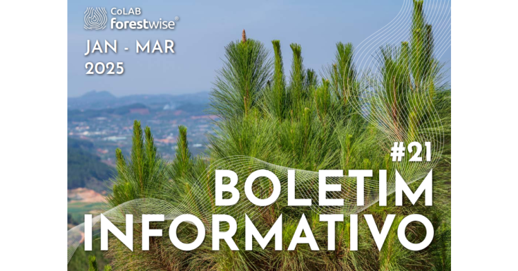 boletim forestwise 21