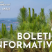 boletim forestwise 21