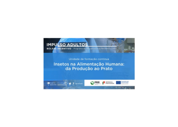 insetos alimentaçao humana